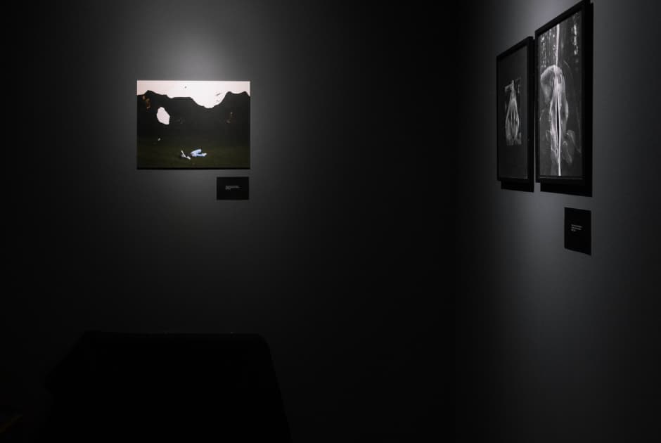 exhibition Якщо ти довго дивишся в пустóти