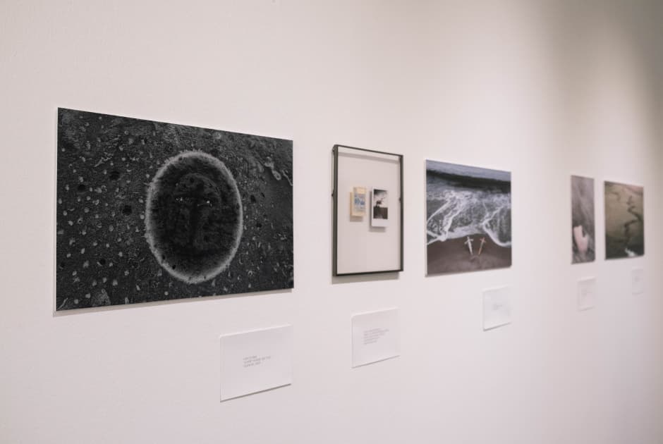 exhibition Якщо ти довго дивишся в пустóти
