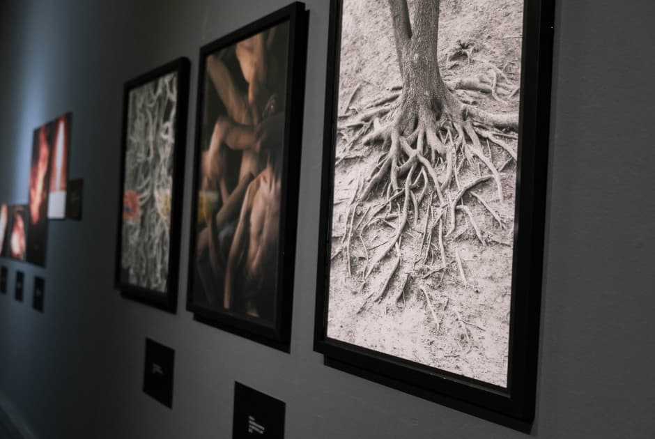 exhibition Якщо ти довго дивишся в пустóти