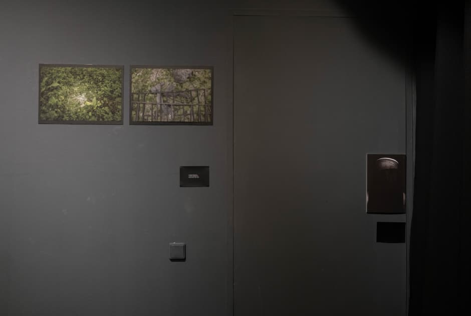 exhibition Якщо ти довго дивишся в пустóти