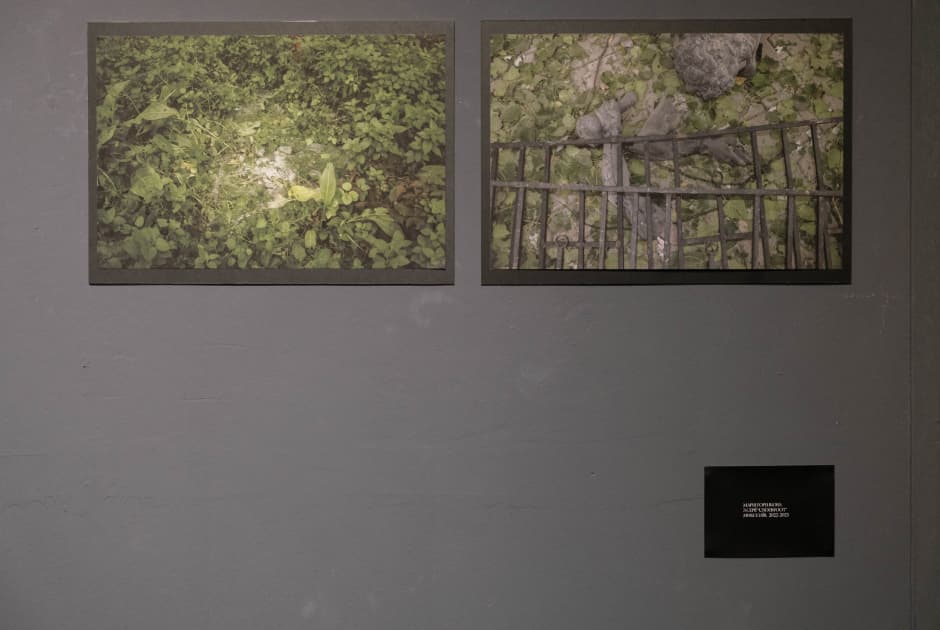 exhibition Якщо ти довго дивишся в пустóти