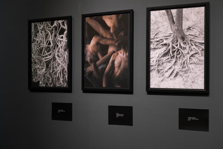 exhibition Якщо ти довго дивишся в пустóти