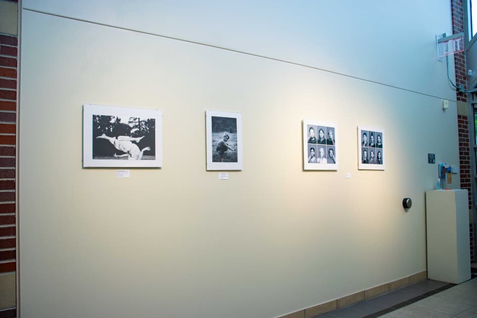 exhibition Crossing the Line