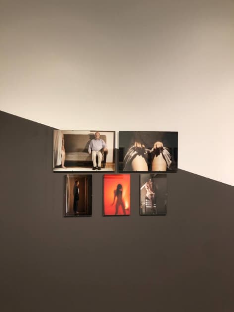 exhibition Light in the Dark