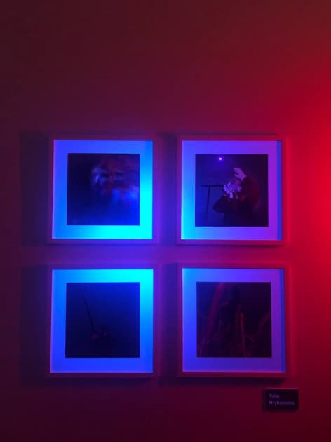 exhibition Light in the Dark