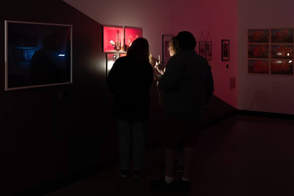 exhibition Light in the Dark