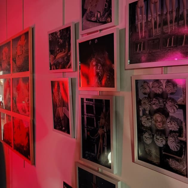 exhibition Light in the Dark in Gutman Gallery