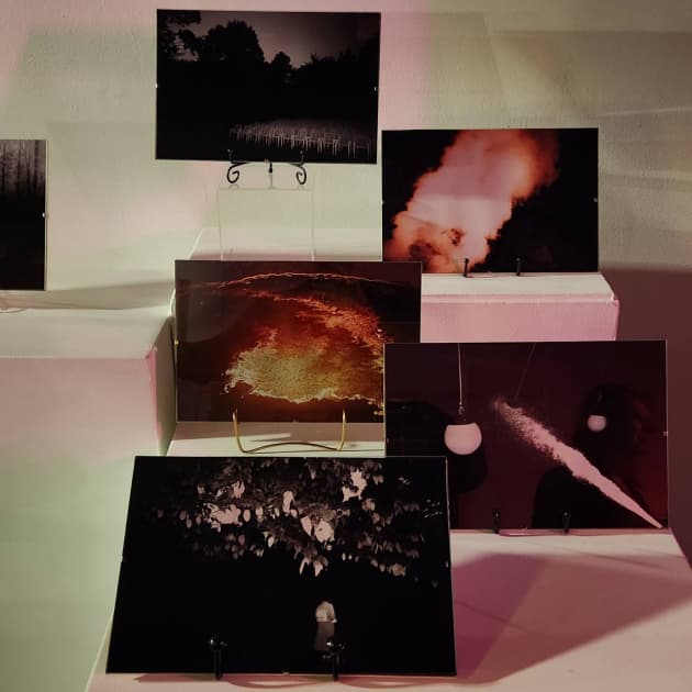 exhibition Light in the Dark in Gutman Gallery
