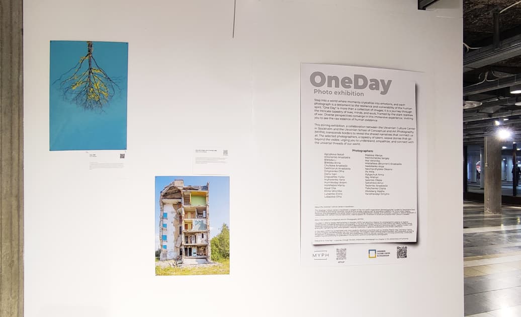 exhibition Один день
