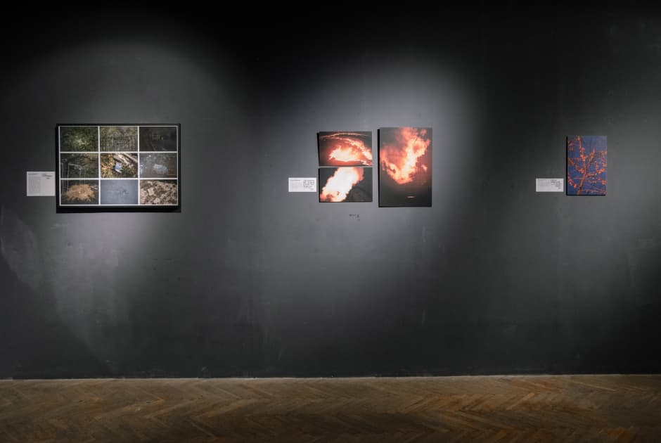 exhibition Підсвідоме