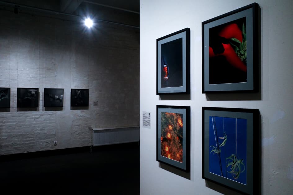 exhibition Глибини Психеї - виставка Myph