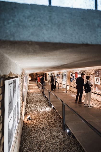exhibition Візуальна історія Миколаєва і Татуювання війни у Болгарії - виставка Myph