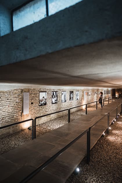 exhibition Візуальна історія Миколаєва і Татуювання війни у Болгарії - виставка Myph