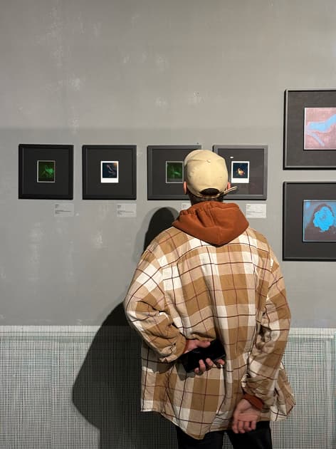 exhibition АРТ МАРКЕТ в галереї Лавра - виставка Myph