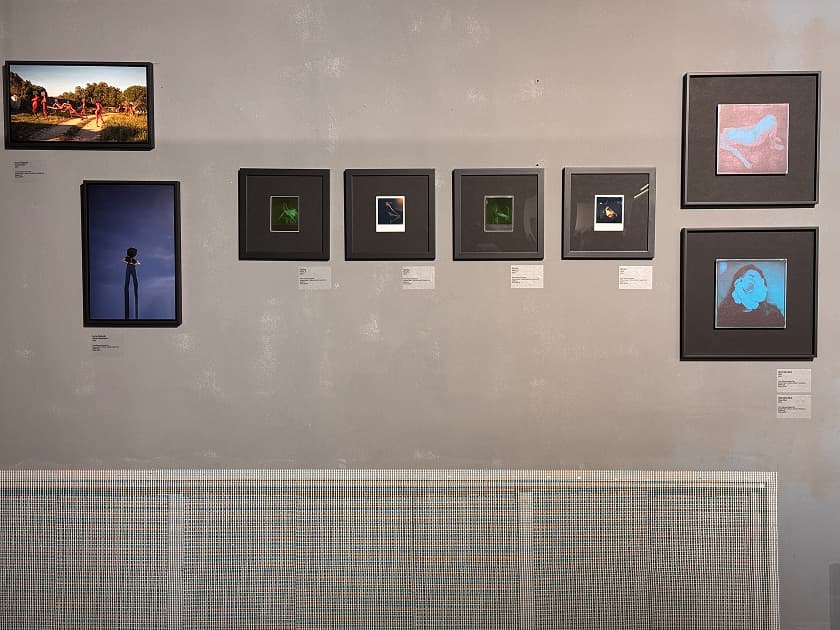 exhibition АРТ МАРКЕТ в галереї Лавра - виставка Myph