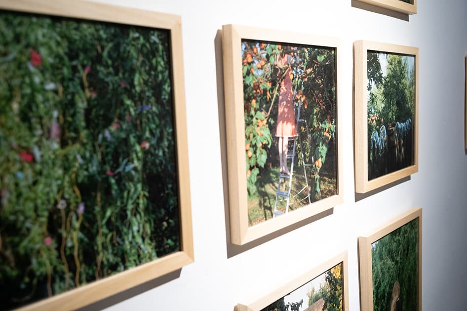 exhibition MYPH Photography Prize 2024 В Mōntaж - виставка Myph