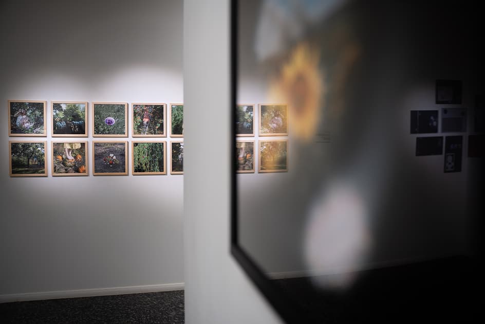 exhibition MYPH Photography Prize 2024