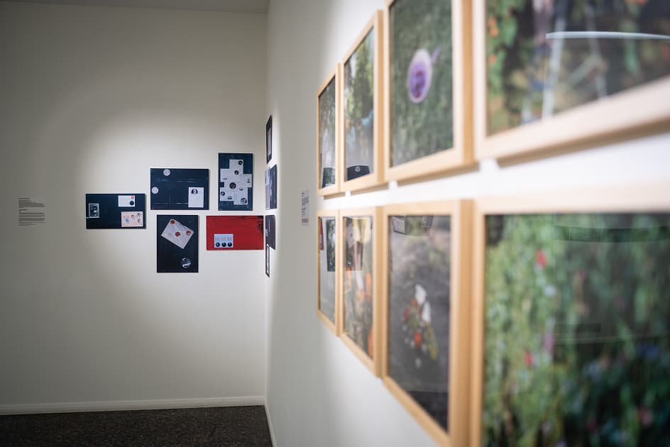 exhibition MYPH Photography Prize 2024