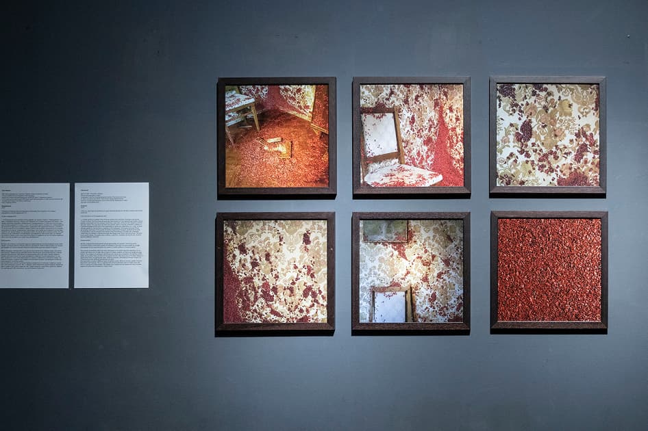 exhibition MYPH PHOTOGRAPHY PRIZE 2024 в Асортиментній Кімнаті