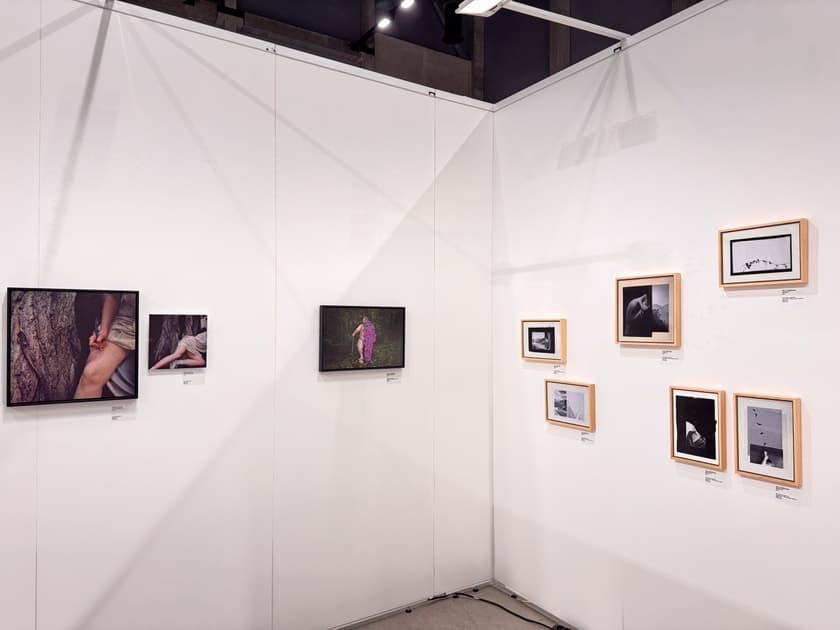 exhibition Art Market Budapest 2025