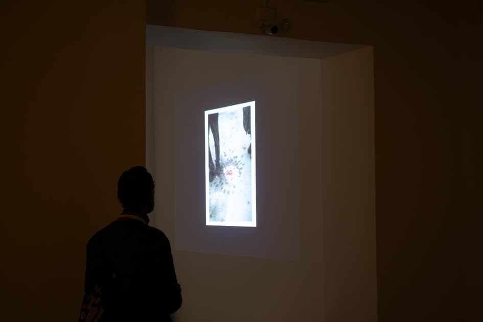 exhibition ukraïne²