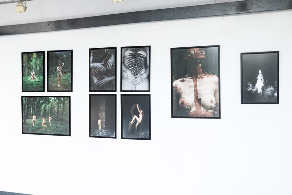 exhibition Крізь досвід - виставка MYPH